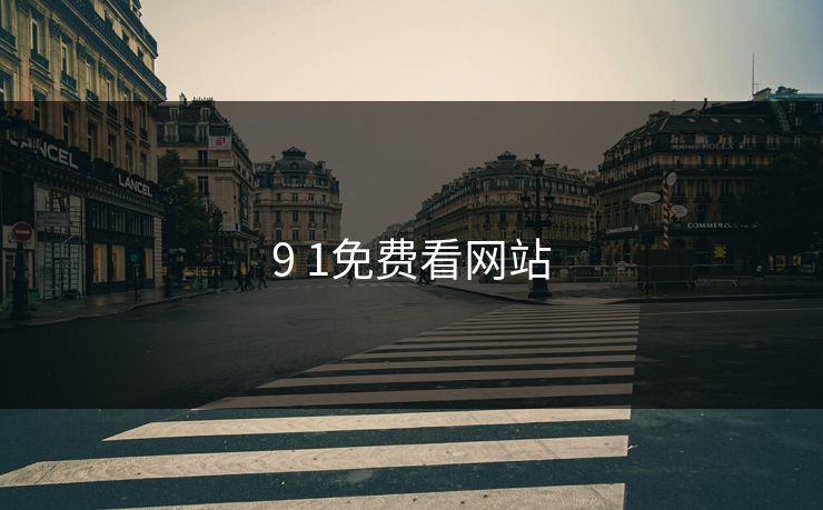 9 1免费看网站
