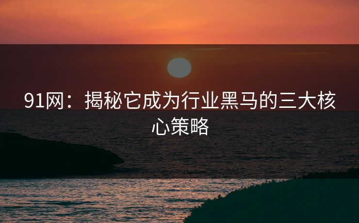 91网：揭秘它成为行业黑马的三大核心策略