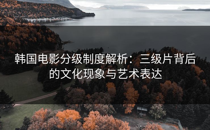 韩国电影分级制度解析：三级片背后的文化现象与艺术表达