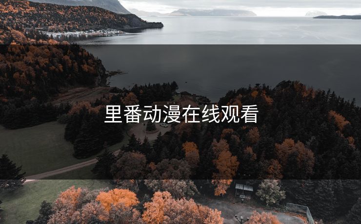 里番动漫在线观看